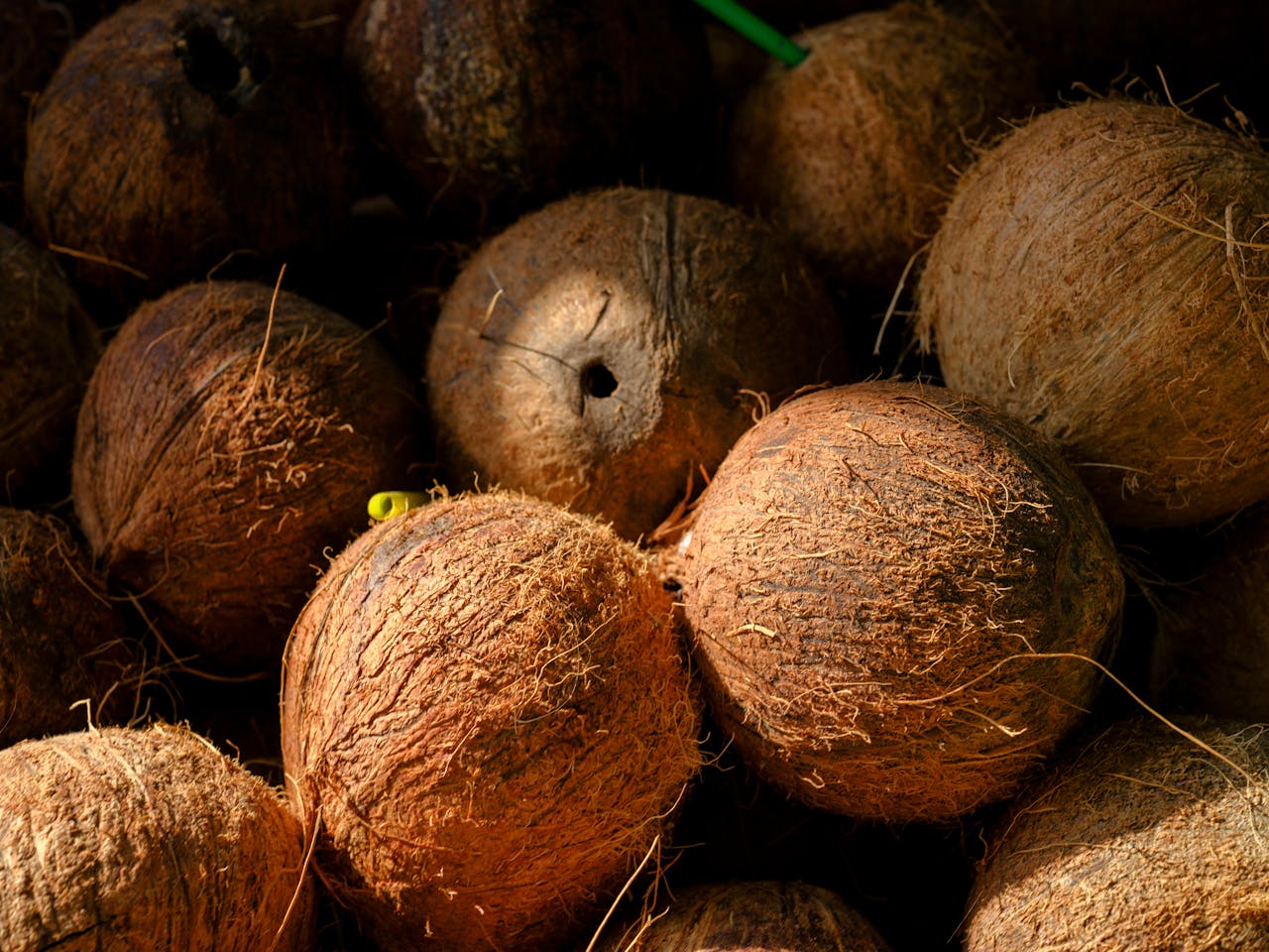 services-03 High-quality image of brown coconuts in a market setting, perfect for food and nature themes.