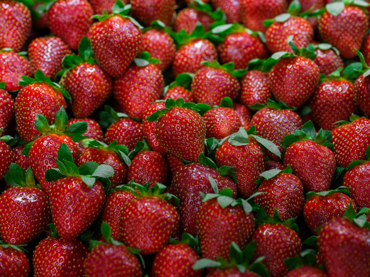 about-us-01 A vibrant close-up of fresh red strawberries, ideal for food and nutrition concepts.